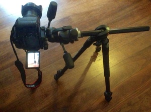 Manfrotto 190XPROB legs with horizontal centre column.